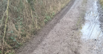 flavie pet sitter à CHAMPENOUX 54280_10