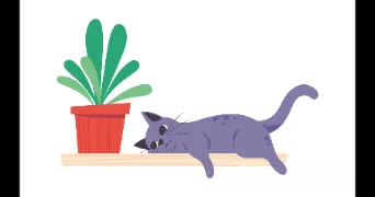 michael pet sitter à BOULOGNE BILLANCOURT 92100