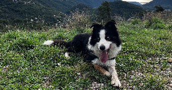 stéphanie pet sitter à NICE 06100_1
