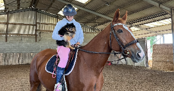 loa pet sitter à BOIGNY SUR BIONNE 45760