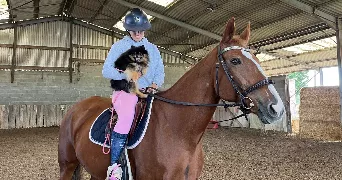loa pet sitter à BOIGNY SUR BIONNE 45760