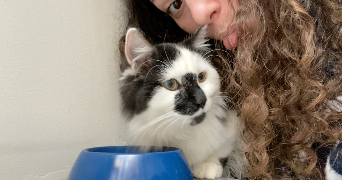 satine pet sitter à CANTELEU 76380_1
