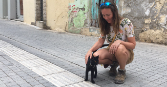 amandine cat sitter à ANTONY 92160_2
