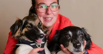 lysette dog sitter à WAILLY 62217
