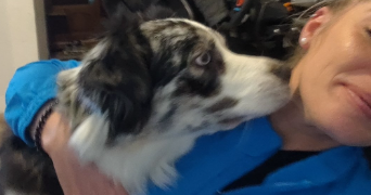 angélique  pet sitter à BOYNES 45300_2