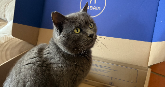 mathilde pet sitter à CHATEAUVIEUX 05000_0