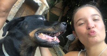 maddy pet sitter à AIX EN PROVENCE 13100_2