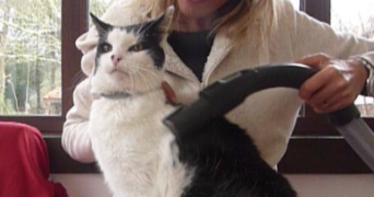 sabine pet sitter à LABENNE 40530_5