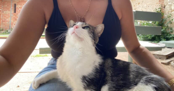 ella pet sitter à TOULOUSE 31000_2