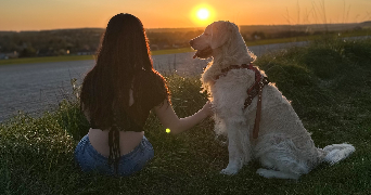 jessica pet sitter à AMIENS 80000_0
