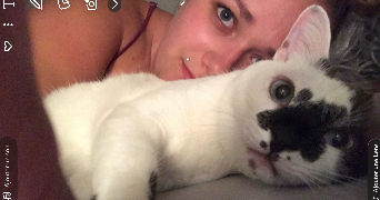 amélie pet sitter à CHAVAROUX 63720_0