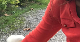 camille pet sitter à MARSEILLE 05 13005_1