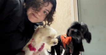 yosr pet sitter à HOUILLES 78800_1