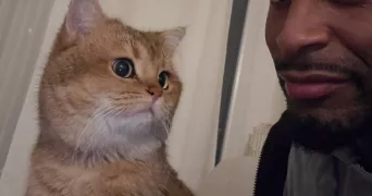 salim pet sitter à CRETEIL 94000