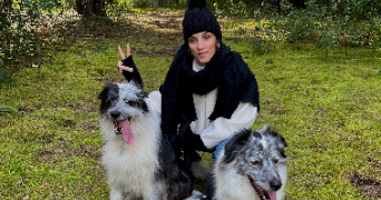 coline pet sitter à CARQUEFOU 44470_5