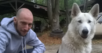 fabien pet sitter à MONTAUBAN DE BRETAGNE 35360_1