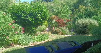 angelo pet sitter à ST BARTHELEMY 38270_8