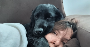 ana pet sitter à VELIZY VILLACOUBLAY 78140_7