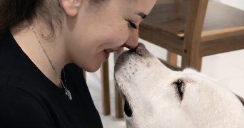 manon pet sitter à VERDUN 55100_0