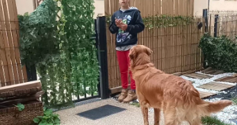 lolaetnoah pet sitter à MONTEVRAIN 77144_9