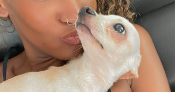 coralie pet sitter à LE GOSIER 97190_0