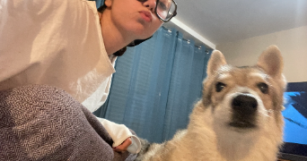 keyna pet sitter à TOULOUSE 31400_1