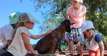 blanche pet sitter à LILLE 59000_1