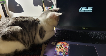 anaïs pet sitter à ST MAURICE 94410_1