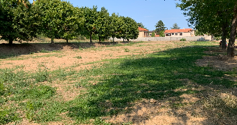 kirsty pet sitter à ISSOIRE 63500_4