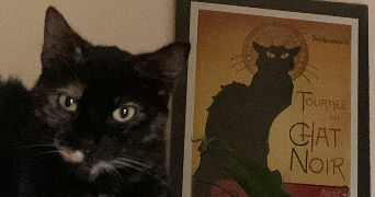 lénaïg pet sitter à RENNES 35700_7