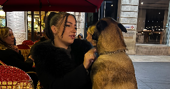 tehani pet sitter à ST SULPICE ET CAMEYRAC 33450_0