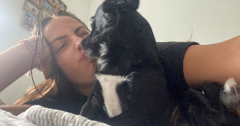 lilou pet sitter à LYON 03 69003_0