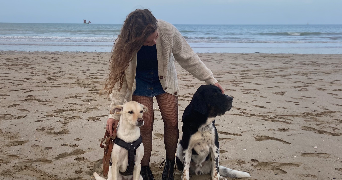 alexane pet sitter à PLOUFRAGAN 22440_4