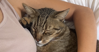 vanina pet sitter à MANDELIEU LA NAPOULE 06210_6