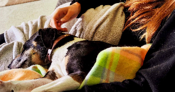 clara pet sitter à CLICHY 92110_1