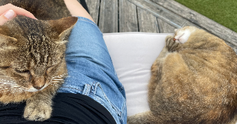 camille pet sitter à BREST 29200_3