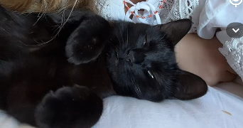 olivia pet sitter à BESANCON 25000_1