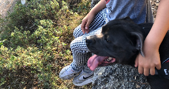 leila pet sitter à MARSEILLE 08 13008_3