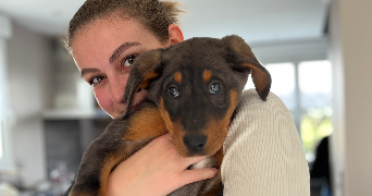 emma pet sitter à ST CYR L ECOLE 78210_1