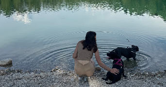 carla pet sitter à ST RAMBERT D ALBON 26140_2