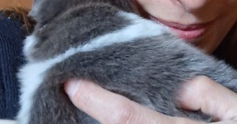 caroline dog sitter à CASTELNAU MONTRATIER STE ALAUZIE 46170_4