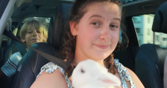 léanne pet sitter à BISCHHEIM 67800_2