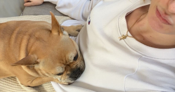 elena pet sitter à ANNECY 74000_3