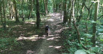stéphanie pet sitter à DEULEMONT 59890_7