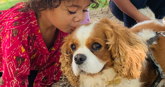 kirsty pet sitter à ISSOIRE 63500_6