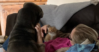 clarisse pet sitter à LILLE 59260_1