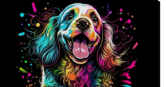 nathalie dog sitter à MONTIGNY EN GOHELLE 62640_0