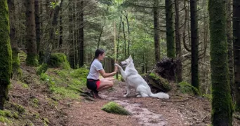 pia dog sitter à ALLONZIER LA CAILLE 74350