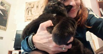 lechat pet sitter à GAILLAC 81600_1