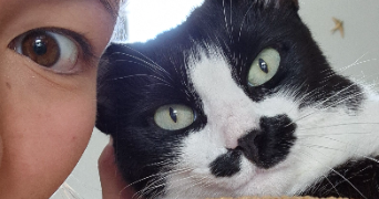 aenoï pet sitter à ROUEN 76000_1